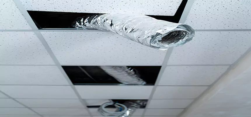 Affordable HVAC Sanitizing After Pest Removal in Little Rock