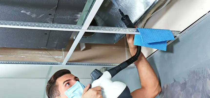 Our Air Duct Rodent Removal Services in Little Rock, AR