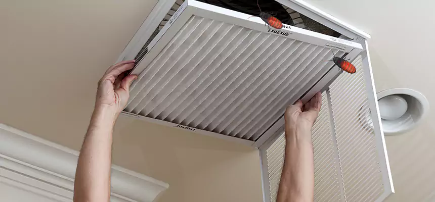 Our Insect Removal from Air Ducts Services in Little Rock, AR
