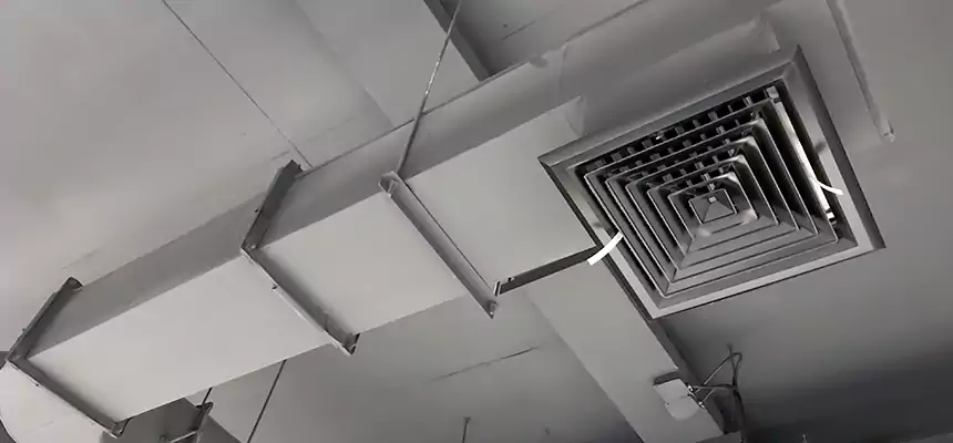 Our Pest Removal From Ducts Services in Little Rock, AR