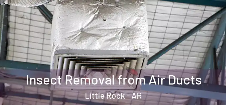 Insect Removal from Air Ducts Little Rock - AR