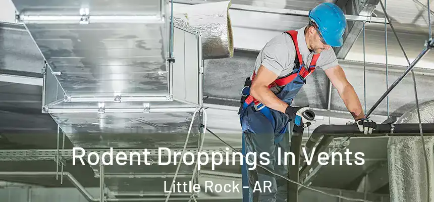  Rodent Droppings In Vents Little Rock - AR