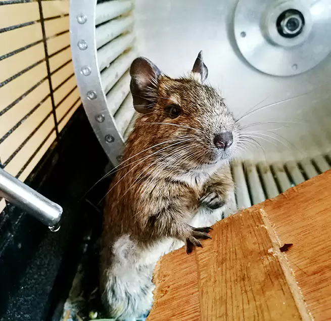 Why Homeowners & Businesses Trust Us Little Rock, AR