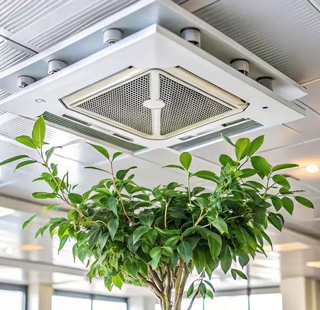 Why Homeowners & Businesses Trust Us in Little Rock, AR?